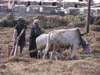 Garhwal-Tour_2009-2006_-_290