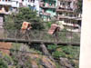 Garhwal-Tour_2009-2006_-_666
