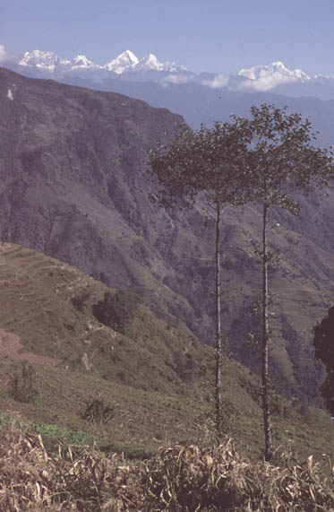 Gosainkund Helambu 1998 - 031