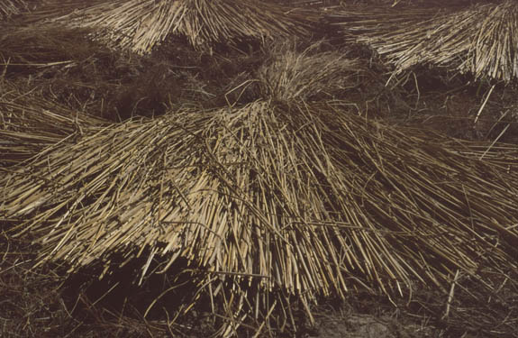 Gosainkund Helambu 1998 - 042