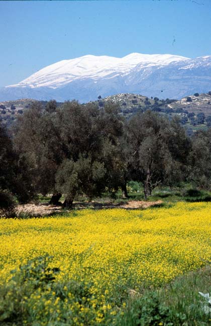 Rhodos-Karpatos-Kreta-90