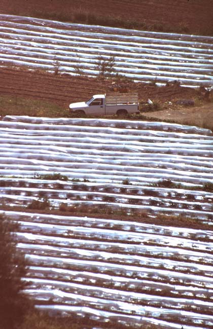 Rhodos-Karpatos-Kreta-96