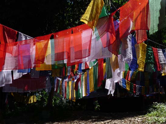 1-Sikkim-Gangtok-0535