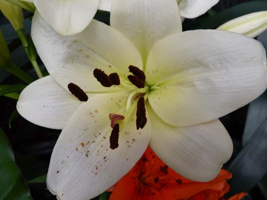 1-Sikkim-Gangtok-0545