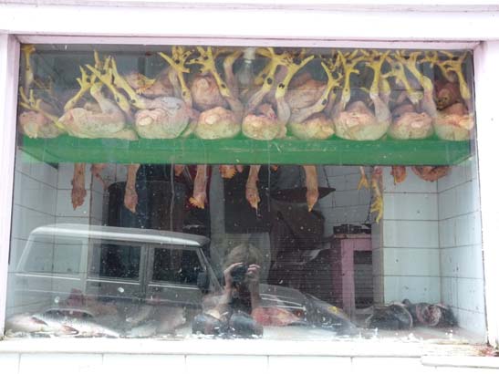 1-Sikkim-Gangtok-0551