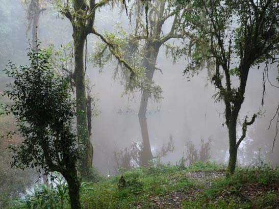 3-Sikkim-Rabdentse-Pemayangtse-0610