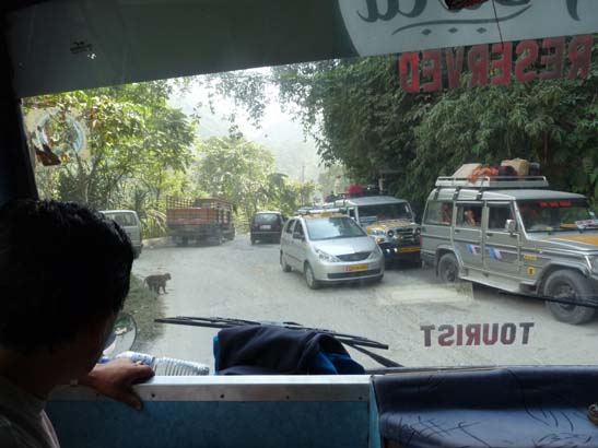 5-Duars-Tiefland-0945