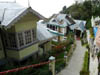 4-Darjeeling-Kangchenjunga-0821
