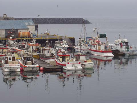 Fischerboote in Husavik, Island