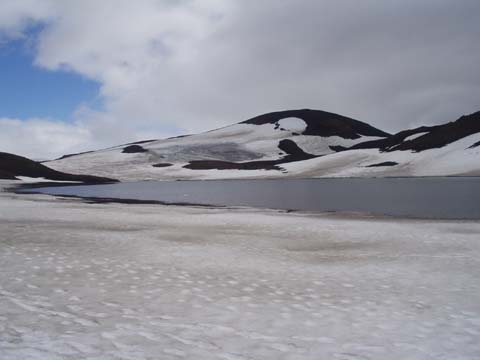 Schneefelder Island