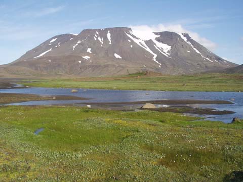 Tafelvulkan Island