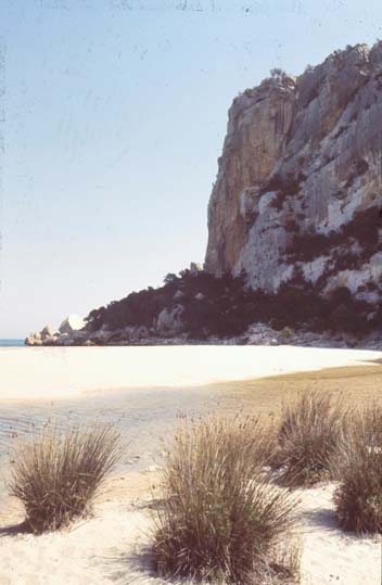 Sardinien-1 (037)