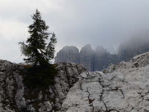 Trentino_080906_402