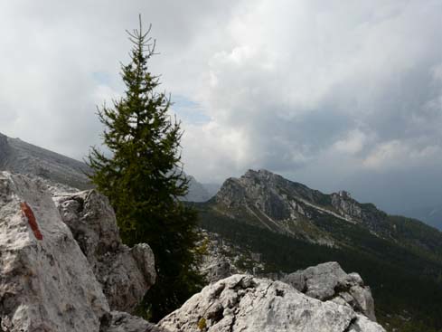 Trentino_080906_438