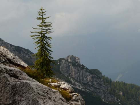 Trentino_080906_442