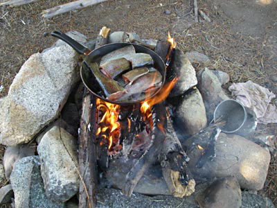 32-chilc-rainbowtrouts-400