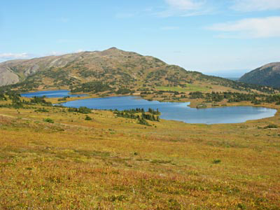 35-chilc-potatomt-400