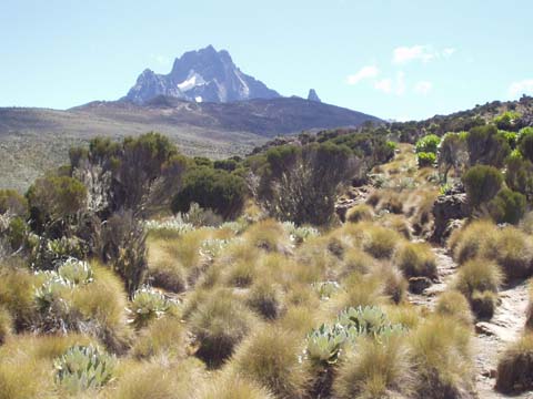 Mount Kenia: Naro Moru Route