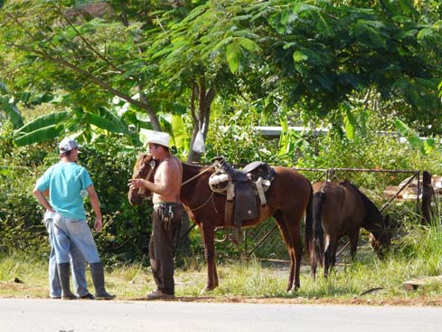 P1060856_Soroa_Vinales