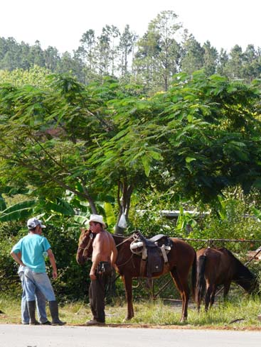 P1060858_Soroa_Vinales
