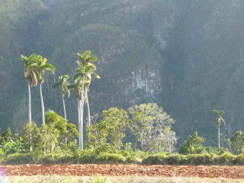 P1060863_Soroa_Vinales