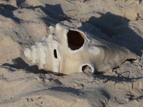 P1070031_Vinales_Cayo_Jutia