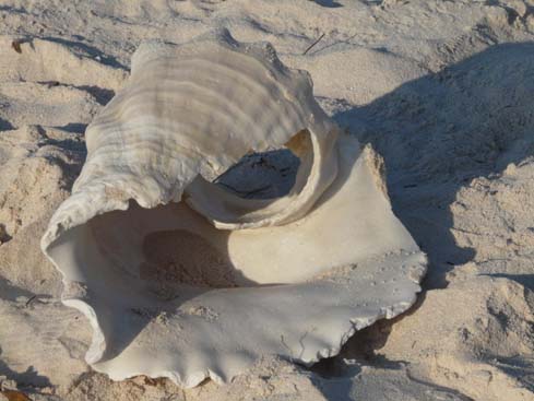 P1070032_Vinales_Cayo_Jutia