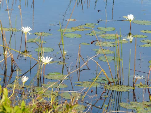 P1070035_Vinales_Cayo_Jutia