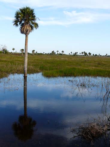 P1070037_Vinales_Cayo_Jutia