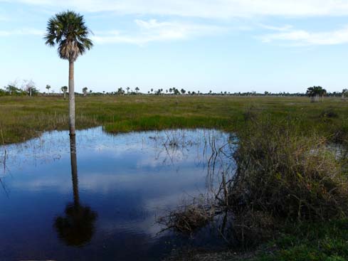 P1070038_Vinales_Cayo_Jutia