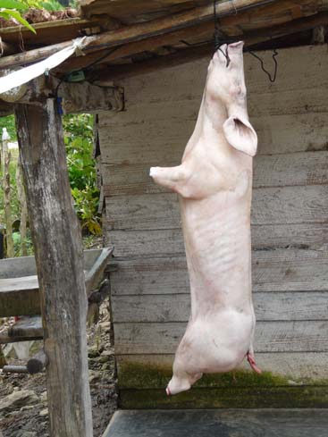 P1070254_Trinidad_Sta_Clara