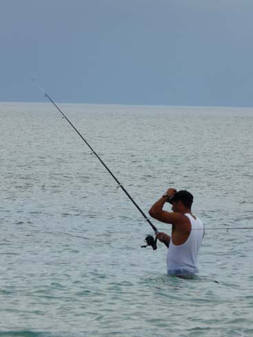 P1070545_Playas_del_Este