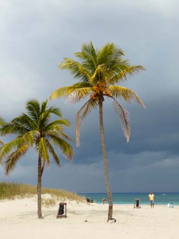 P1070548_Playas_del_Este