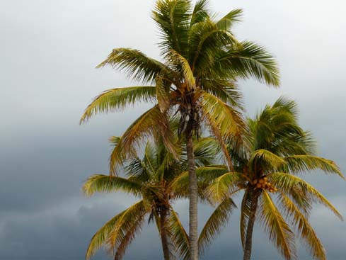 P1070550_Playas_del_Este