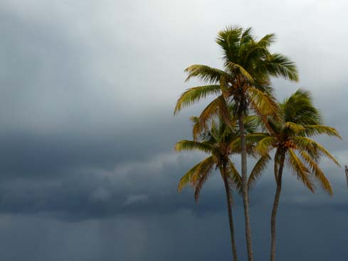 P1070551_Playas_del_Este