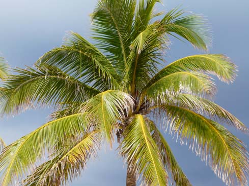 P1070559_Playas_del_Este