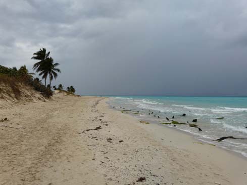 P1070581_Playas_del_Este