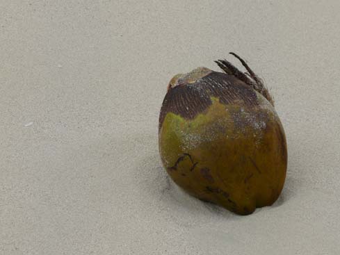 P1070583_Playas_del_Este