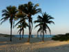 P1070511_Playas_del_Este