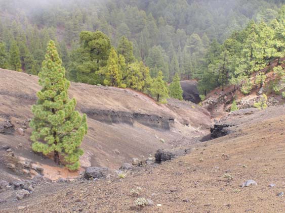 La Palma Wandern