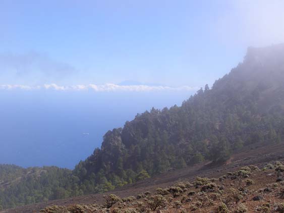 La_Palma_2176656