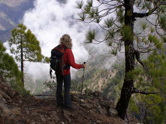 Wandern La Palma