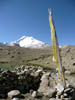 Ladakh270