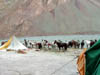 Ladakh441