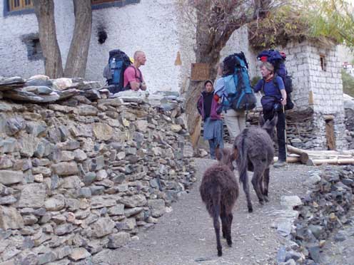 Ladakh  2-2004 095