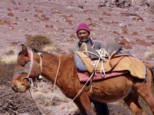 Ladakh  2-2004 132