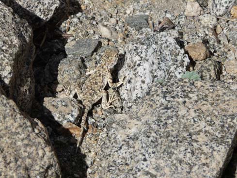 090829_Leh_und_Umgebung (122)