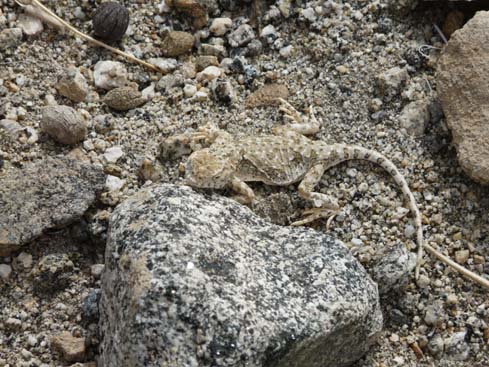 090829_Leh_und_Umgebung (124)