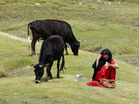 090829_Leh_und_Umgebung (143)
