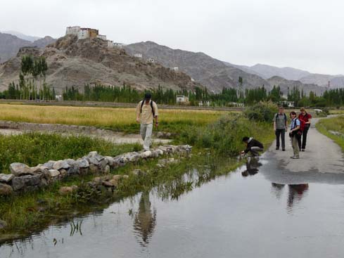 090829_Leh_und_Umgebung (18)